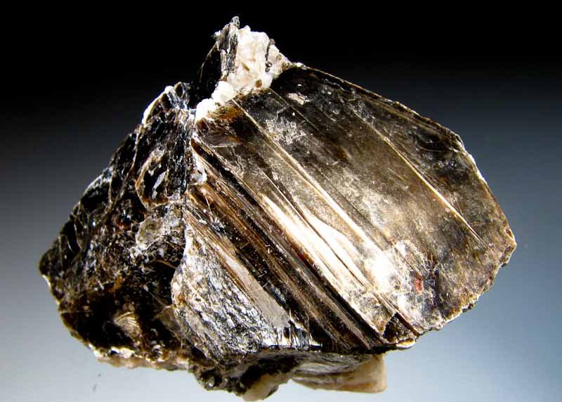 phlogopite