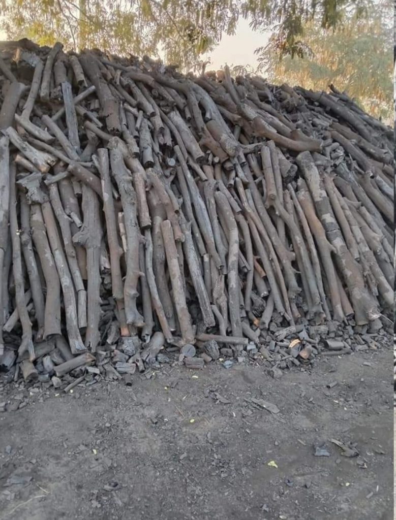 charcoal suppliers