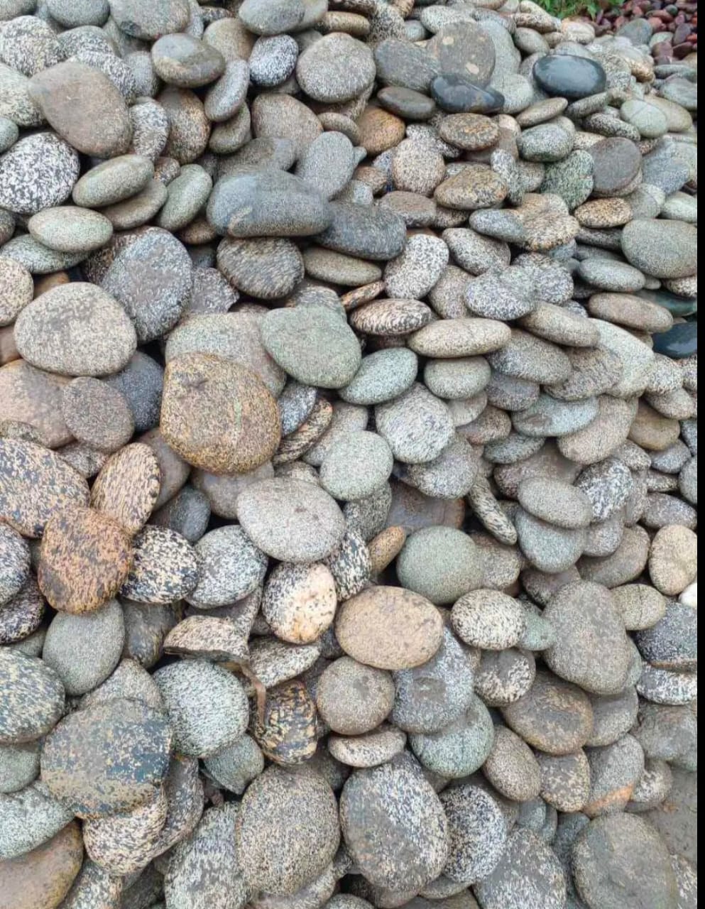 Landscaping Stone Suppliers Landscaping Stone Pebble Stone